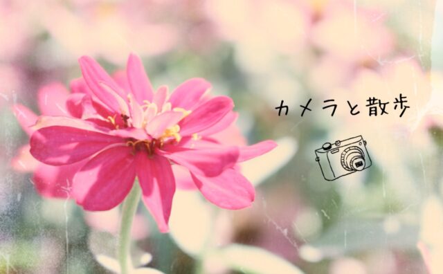 カメラと散歩